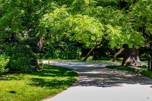 summer landscape on a sunny day park garden Warsaw Poland path, tree photo