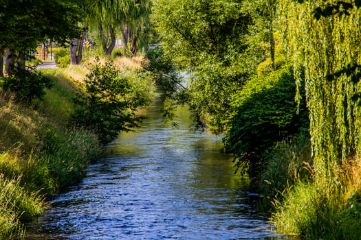 leba river flowing through Lebork Poland on a summer day photo