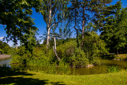 summer landscape with a pond Saski Garden Warsaw Poland green trees warm day photo