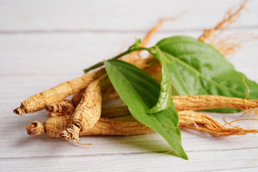Ginseng roots and green leaf, healthy food. photo