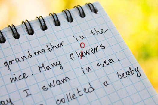 The bug is fixed in red pen in a notebook photo