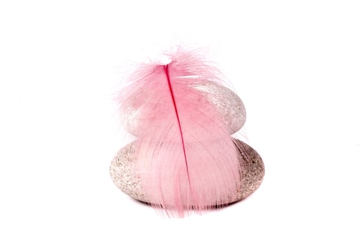 rock and pink feather photo