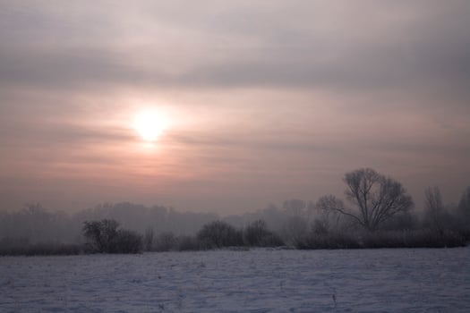 serene pastel winter morning with white snow and black trees and the sun piercing through the clouds in the sky photo