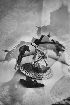 autumn oak leaf in a glass dish standing on a white table photo