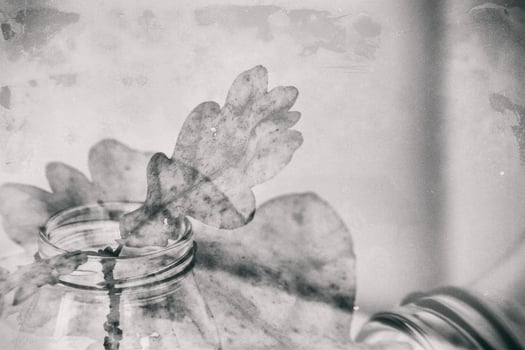 autumn oak leaf in a glass dish standing on a white table photo
