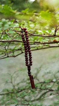 prayer beads on twig photo