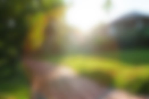 blurred green garden and resident houses photo