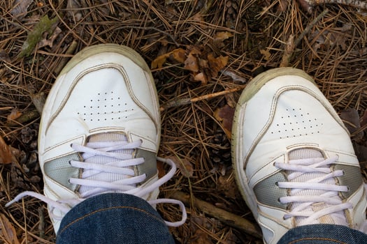 Legs in a sneaker on a forest background photo