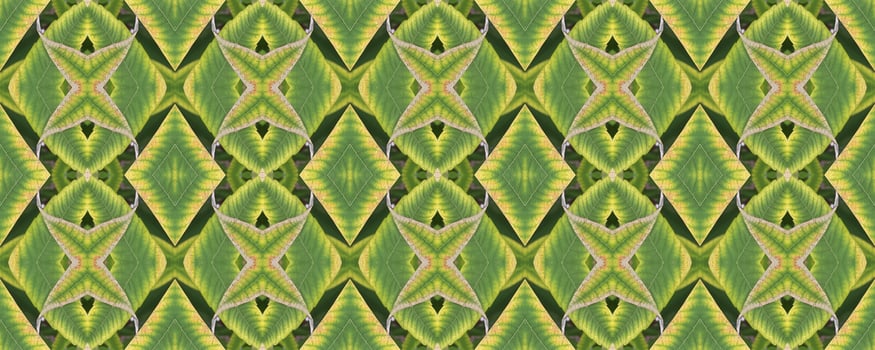 Floral pattern. Seamless ornament. Floral ornament.Seamless background. Modern style. Seamless texture. Abstract background. Decoration. Abstract texture. Duplicate elements. Texture for cloth photo