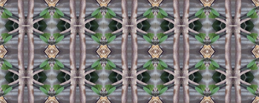 Seamless ornament. Plant elements. Modern style. Floral ornament. Seamless background. Seamless texture. Abstract background. Decoration. Creative background. Duplicate elements. Abstract texture photo