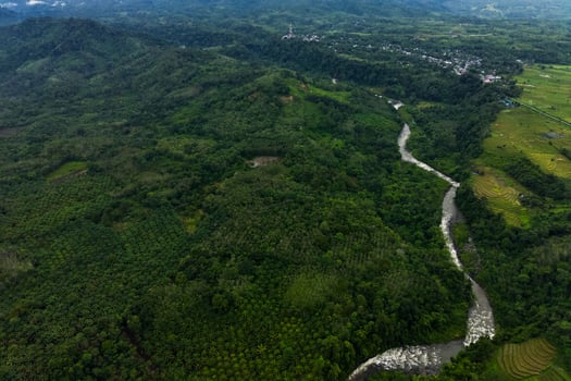 aerial view beautiful morning view from Indonesia about mountain and forest photo