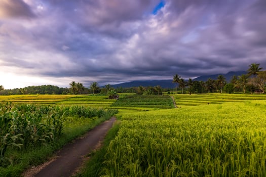 aerial view beautiful morning view from Indonesia about mountain and forest photo