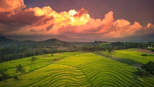 aerial view beautiful morning view from Indonesia about mountain and forest photo