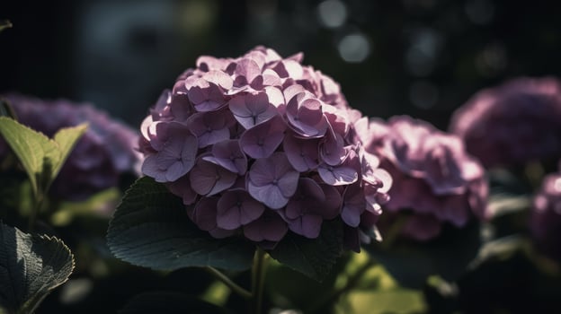 Hydrangea flower background. Illustration photo