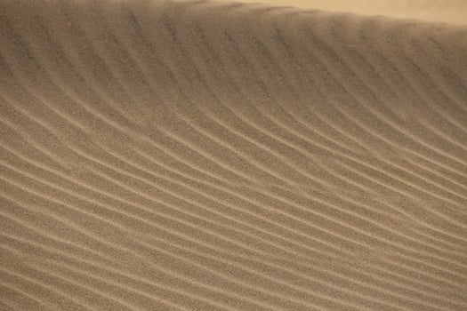 original background of golden sand in the dunes on a sunny day photo