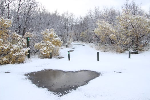 Heart shaped puddle photo
