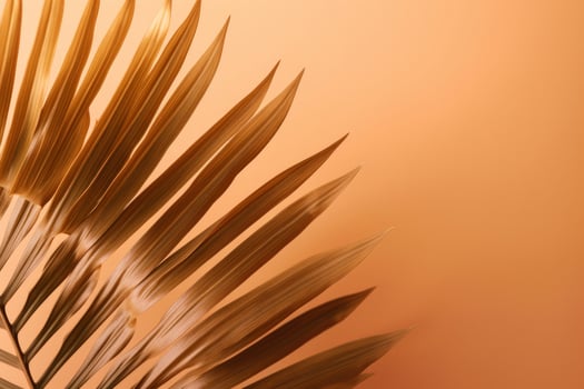 Palm tree sunny background. Illustration photo