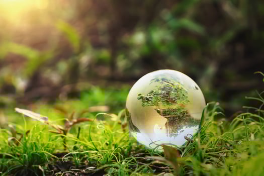 globe glass on grass with sunshine. environment concept photo
