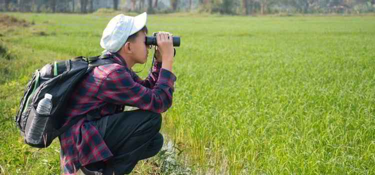 Asian boys using binoculars to do the birdwatching in tropical forest during summer camp, idea for learning creatures, wildlife animals and insects outside the classroom. photo