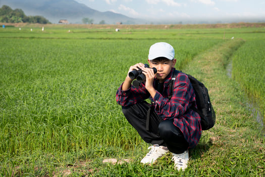 Asian boys using binoculars to do the birdwatching in tropical forest during summer camp, idea for learning creatures, wildlife animals and insects outside the classroom. photo