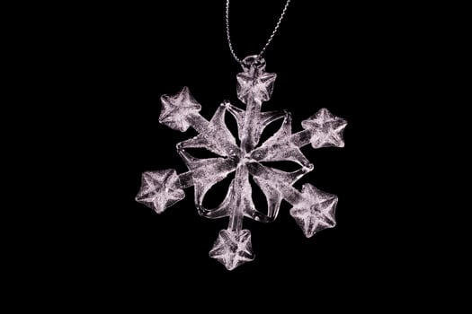 WHITE SNOWFLAKE CLOSE UP photo
