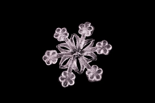WHITE SNOWFLAKE CLOSE UP photo