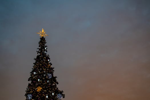 colorful Christmas tree shimmering against the background of the evening pastel sky photo