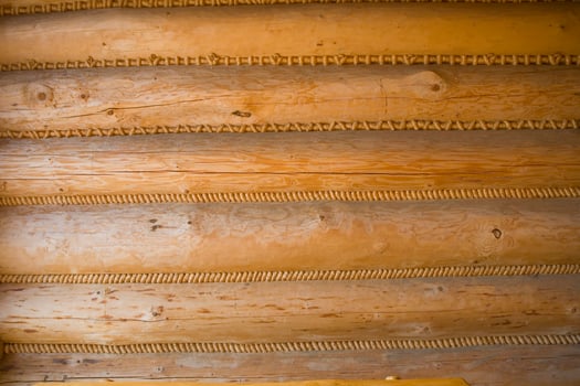 wood background natural photo