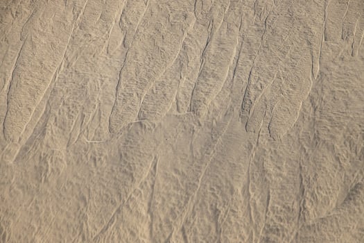 original background of golden sand in the dunes on a sunny day photo