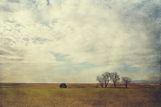 serene minimalist landscape aragon spain in winter day photo