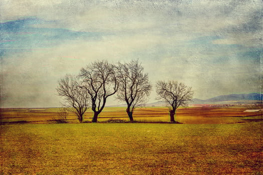serene minimalist landscape aragon spain in winter day photo