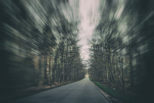 old narrow asphalt road with trees on the side of the road during a car ride in early spring photo