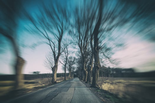 old narrow asphalt road with trees on the side of the road during a car ride in early spring photo