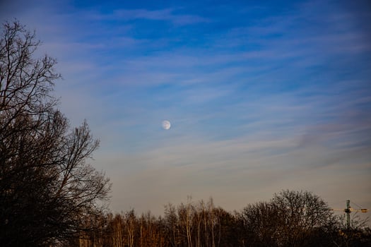 landscape with blue sky, moon and leafless trees photo