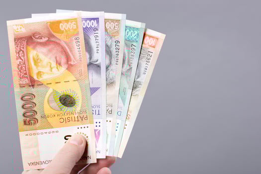Slovak money on a gray background photo