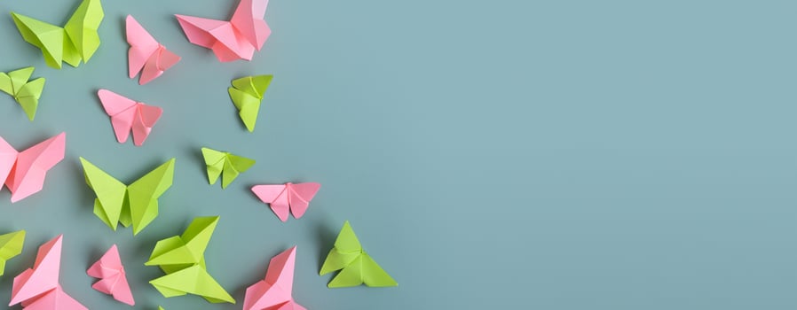 Banner with paper butterfies green and pink colors flat lay on a colored background. Copy space photo