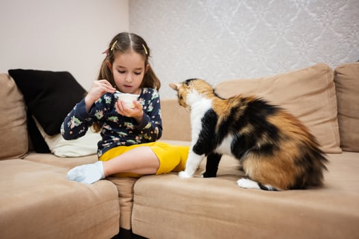 Little girl feed the cat with yogurt from a spoon at home. photo