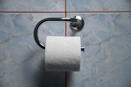 Toilet paper with blue tiles in background photo