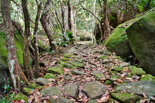 Trois frere nature trail,  beautiful rocky natural footpath up the trail, Mahe, Seychelles photo