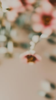 Aesthetic Closeup Pink Flowers And Leaves. Pastel Retro Colors photo