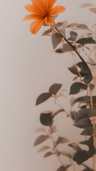 Aesthetic Orange Flower With Leaves. Retro Colors, Minimalistic Composition photo