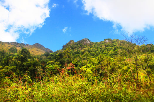 Beautiful Landscape of rocky Limestone Mountain and green forest with blu sky at Chiang doa national park in Chiangmai, Thailand photo