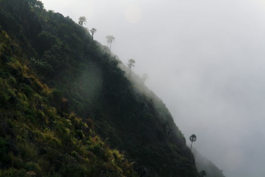 Beautiful landscape natural light in the morning fog on the mountain and the sunrise shining to the mist in forest northern of Thailand. photo