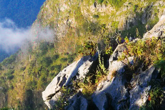 Sunrise in morning with tree on the rock of mountain. Sunray with Fog and mist cover the jungle hill in Thailand photo