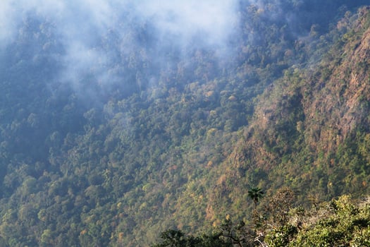 Golden light with sunrise in morning on the sky and clound on the mountain. Fog cover the jungle hill in Thailand photo