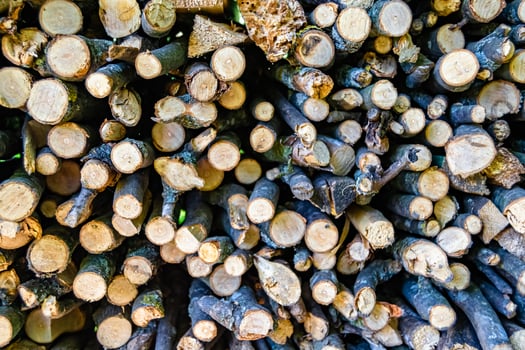 Photography on theme big wall of stacked oak tree logs in cracks photo