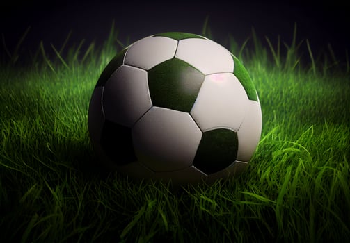 Classic soccer ball in a football stadium on a green lawn - image photo