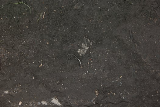 Empty sandy dark dirt surface photo with copy space. Industrial themed photo isolated on landscape template.