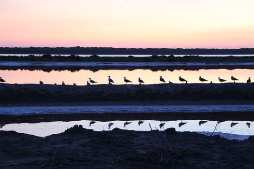 beautiful landscapes of sunset and sunrise with vivid colors of nature in its purest form photo