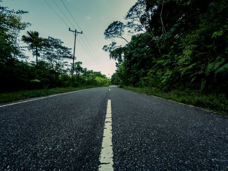 An empty straight road through forest. Morning in woodland with highway photo
